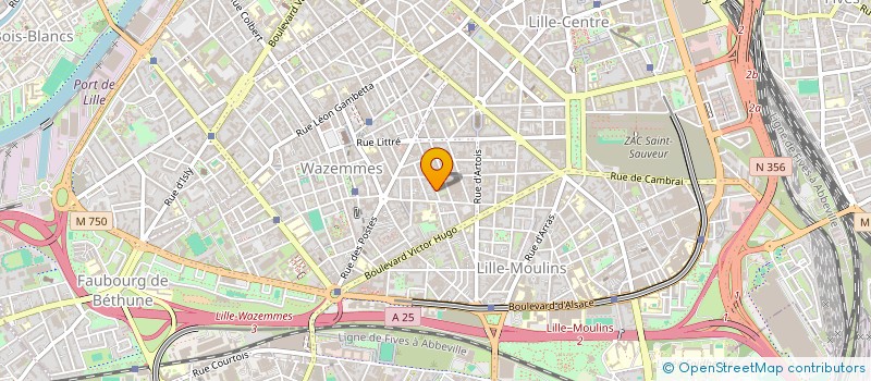 localisation de l'entreprise MONSIEUR WADI TECHEC à LILLE