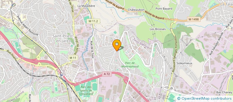 localisation de l'entreprise MONSIEUR WADIH NADIM  SAINT-ETIENNE