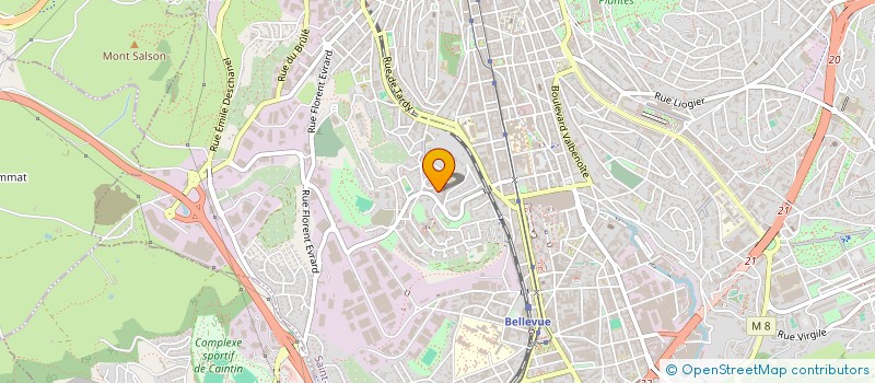 localisation de l'entreprise MONSIEUR WADOL NDUDI-NGOMA  SAINT-ETIENNE