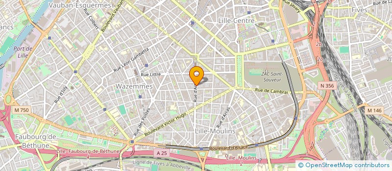 localisation de l'entreprise MONSIEUR WAEL EL HALOUAT à LILLE