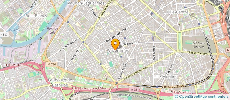 localisation de l'entreprise MONSIEUR WAEL FETNASSI  LILLE