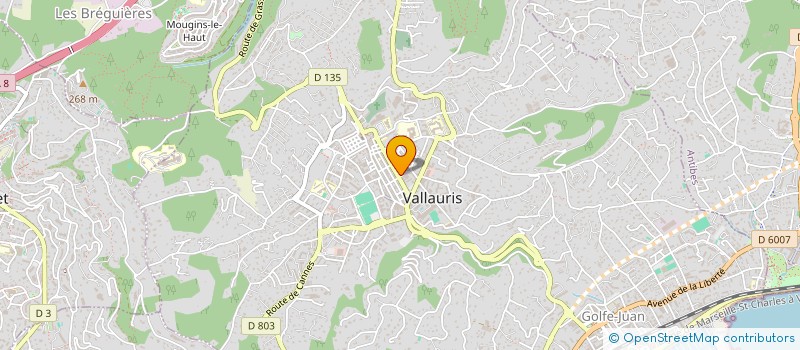 localisation de l'entreprise MONSIEUR WAEL SOUSSI à VALLAURIS