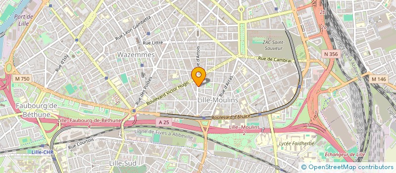 localisation de l'entreprise MONSIEUR WAHIB BELEFKIH à LILLE