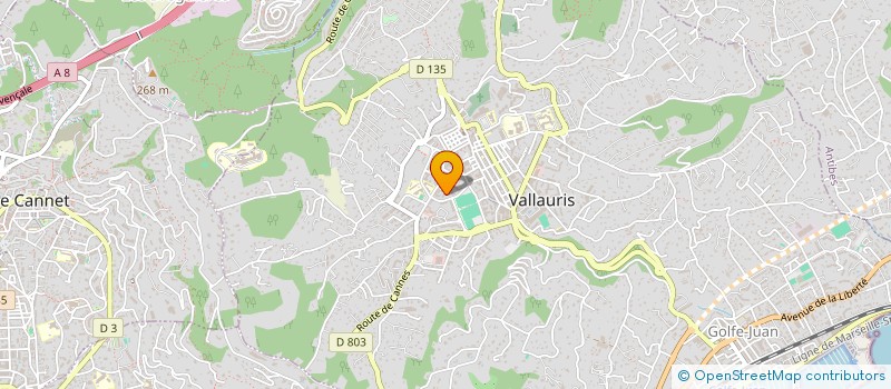 localisation de l'entreprise MONSIEUR WAHID BENAMAR à VALLAURIS