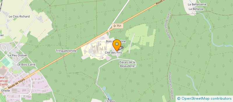 localisation de l'entreprise MONSIEUR WAJIH DERGHAM à SAINT-BENOIT-LA-FORET