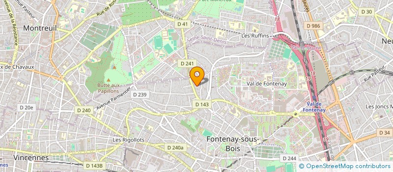 localisation de l'entreprise MONSIEUR WALDEMAR DUCHNOWSKI à FONTENAY-SOUS-BOIS