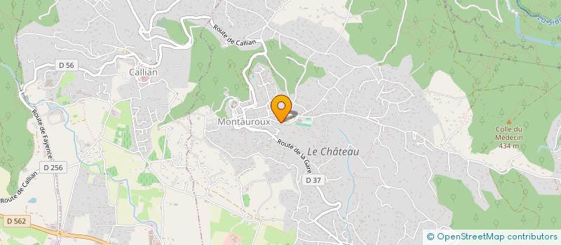 localisation de l'entreprise MONSIEUR WALID AOUICHE  MONTAUROUX