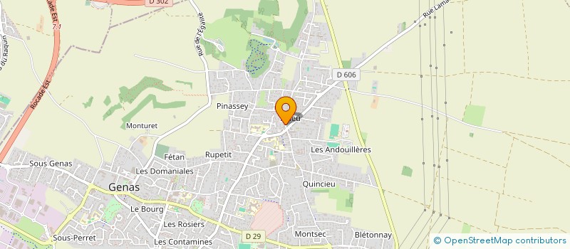 localisation de l'entreprise MONSIEUR WALID EL GHODASSE  GENAS