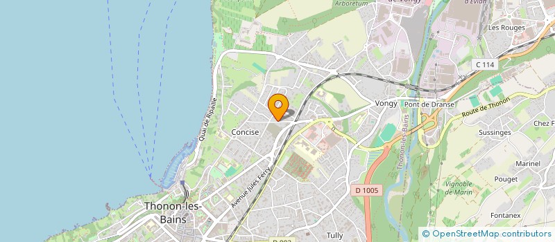 localisation de l'entreprise MONSIEUR WALID ZERDOUK à THONON-LES-BAINS
