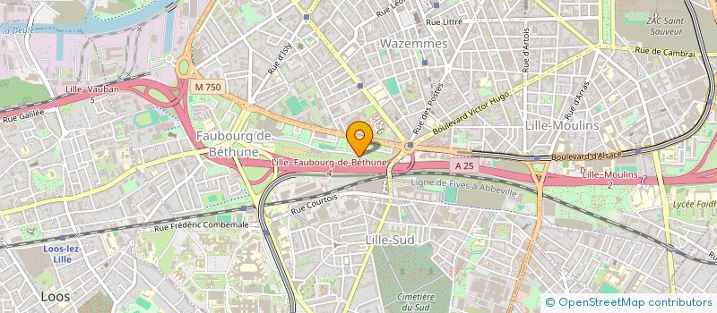 localisation de l'entreprise MONSIEUR WALLID VANGERMEE à LILLE