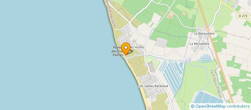 localisation de l'entreprise MONSIEUR WALTER BENETEAU  SAINT DENIS D'OLERON