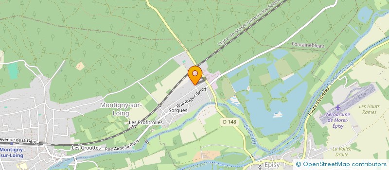 localisation de l'entreprise MONSIEUR WALTER BLECHSCHMITT  MONTIGNY-SUR-LOING