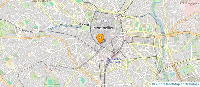 localisation de l'entreprise MONSIEUR WALTER DE CASTRO à MONTPELLIER
