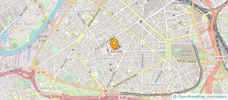localisation de l'entreprise MONSIEUR WALTER GENY à LILLE