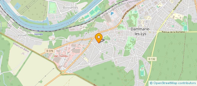 localisation de l'entreprise MONSIEUR WALTER HINCHEY  DAMMARIE-LES-LYS