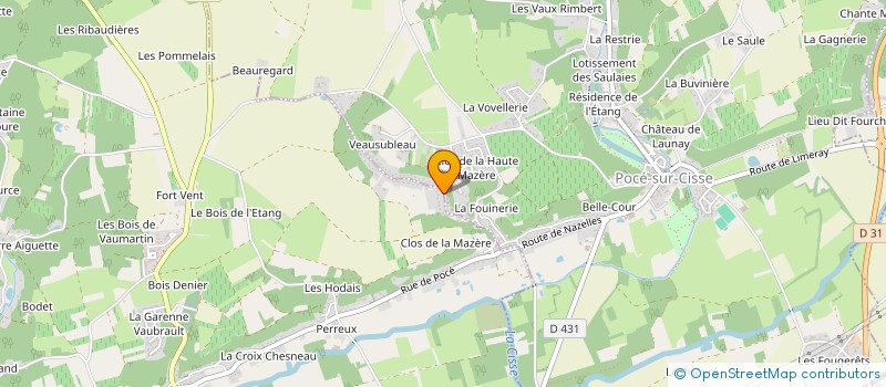 localisation de l'entreprise MONSIEUR WALTER JOUZEAU  NAZELLES-NEGRON