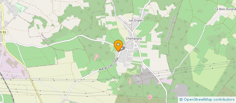 localisation de l'entreprise MONSIEUR WALTER MANIETTE  SOUZAY-CHAMPIGNY