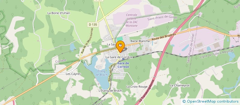 localisation de l'entreprise MONSIEUR WALTER ORELLANA ORELLANA  SAINT-PRIEST-DE-GIMEL