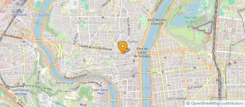 localisation de l'entreprise MONSIEUR WANNIS HARIZI à LYON