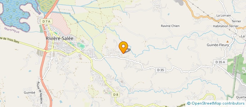 localisation de l'entreprise MONSIEUR WATSON GERMAIN  RIVIERE-SALEE