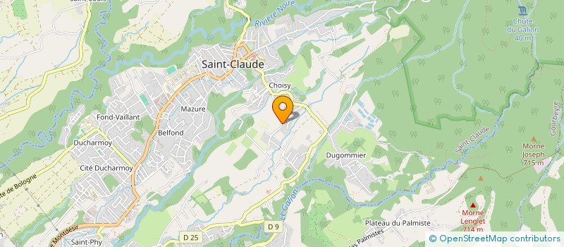 localisation de l'entreprise MONSIEUR WAYNE RIGOT à SAINT-CLAUDE
