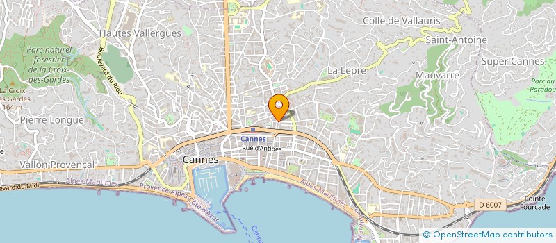 localisation de l'entreprise MONSIEUR WILFRID CASTILLON-GIOANNI à CANNES