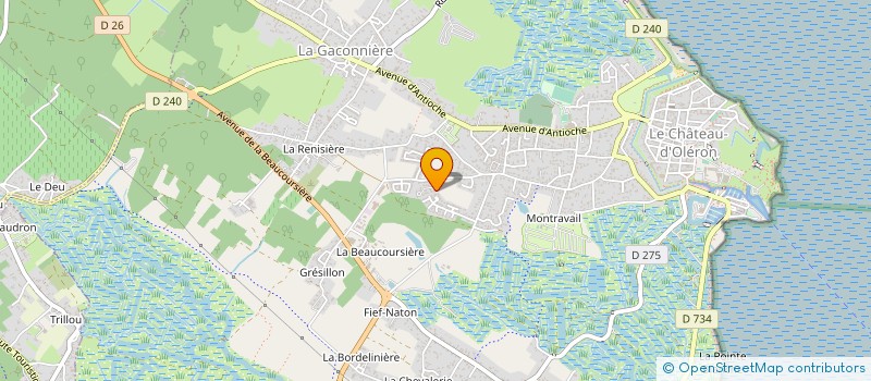 localisation de l'entreprise MONSIEUR WILFRIED BAUDRAY  LE CHATEAU-D'OLERON