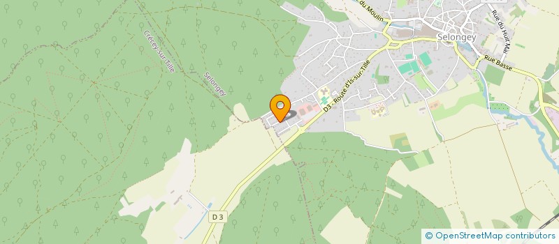localisation de l'entreprise MONSIEUR WILFRIED CARRE  SELONGEY