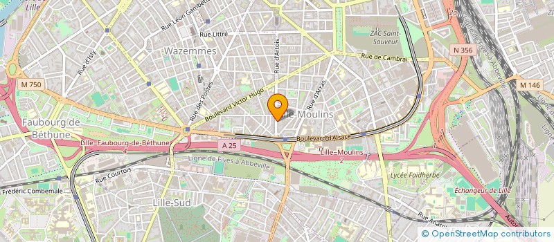 localisation de l'entreprise MONSIEUR WILFRIED DUBUS à LILLE