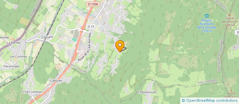 localisation de l'entreprise MONSIEUR WILFRIED PELLE  SAINT-CERGUES