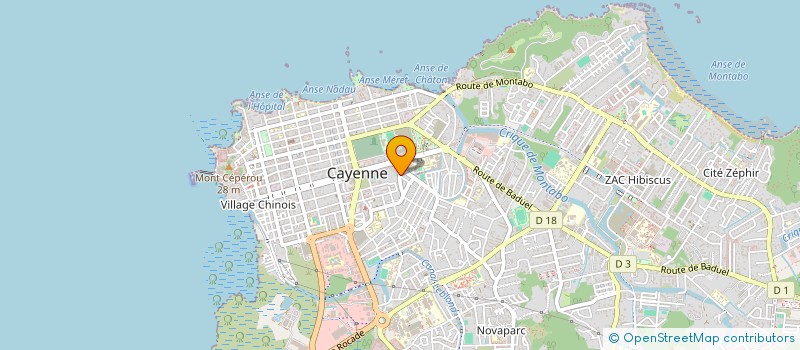 localisation de l'entreprise MONSIEUR WILGO PHEBE  CAYENNE