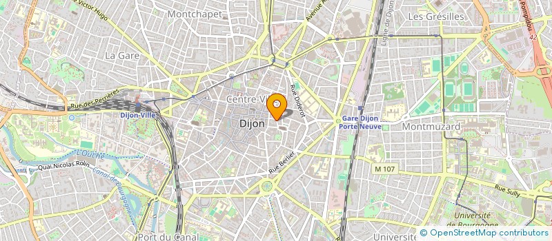 localisation de l'entreprise MONSIEUR WILLEM LEROY  DIJON