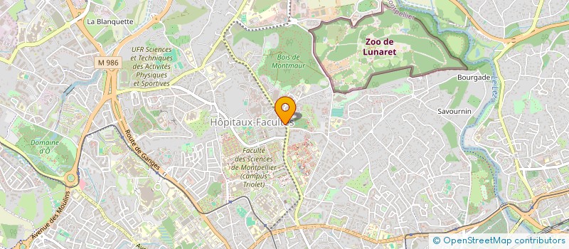 localisation de l'entreprise MONSIEUR WILLIAM ALLEMAND à MONTPELLIER