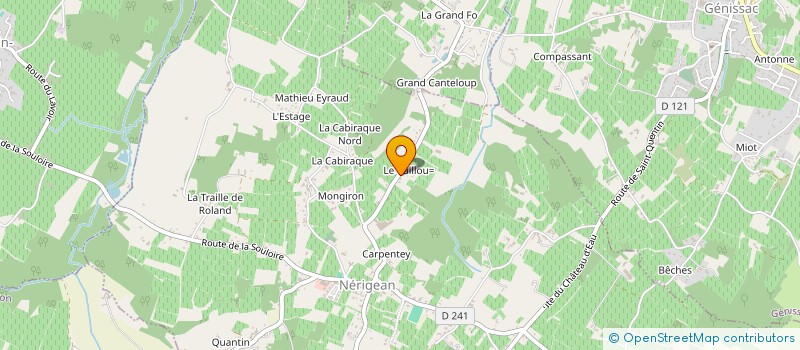 localisation de l'entreprise MONSIEUR WILLIAM BOISDEVESYS  NERIGEAN