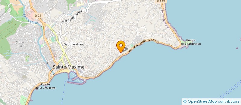 localisation de l'entreprise MONSIEUR WILLIAM DELMAS à SAINTE-MAXIME