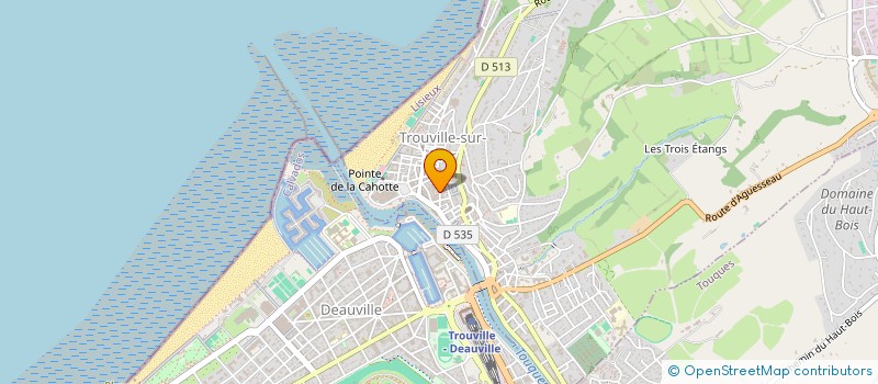 localisation de l'entreprise MONSIEUR WILLIAM LEYSHON à TROUVILLE-SUR-MER