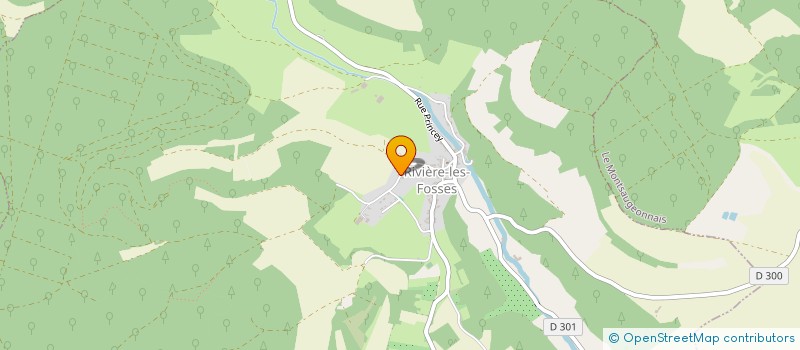 localisation de l'entreprise MONSIEUR WILLIAM TALLEUX à RIVIERE-LES-FOSSES
