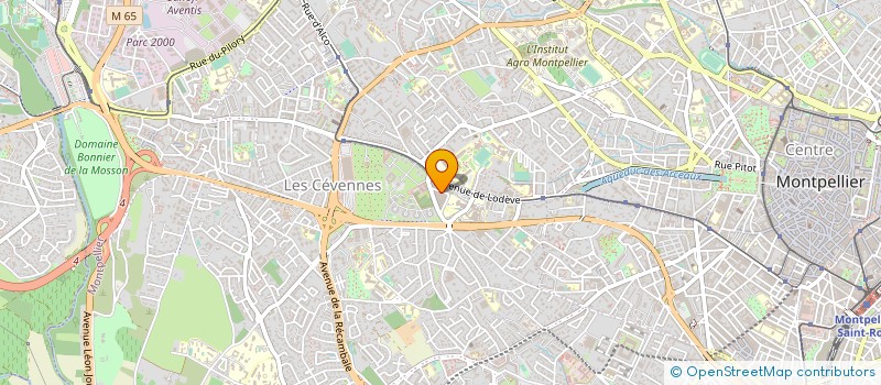 localisation de l'entreprise MONSIEUR WILLIAM VALENTIN à MONTPELLIER