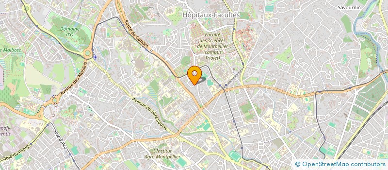 localisation de l'entreprise MONSIEUR WILLIAM WANTZ à MONTPELLIER