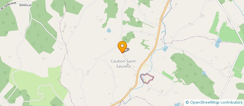 localisation de l'entreprise MONSIEUR WILLY LAFOSSE  CAUBON-SAINT-SAUVEUR