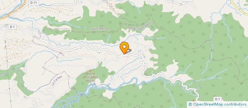 localisation de l'entreprise MONSIEUR WILLY MAURICRACE  FONDS-SAINT-DENIS