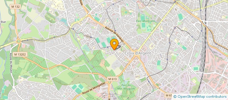 localisation de l'entreprise MONSIEUR WILSON BORGES MORGADO  MONTPELLIER