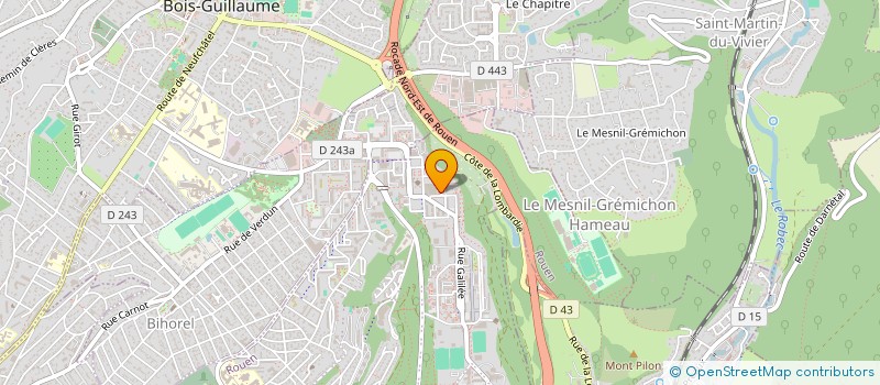 localisation de l'entreprise MONSIEUR WILSON DA SILVA  ROUEN