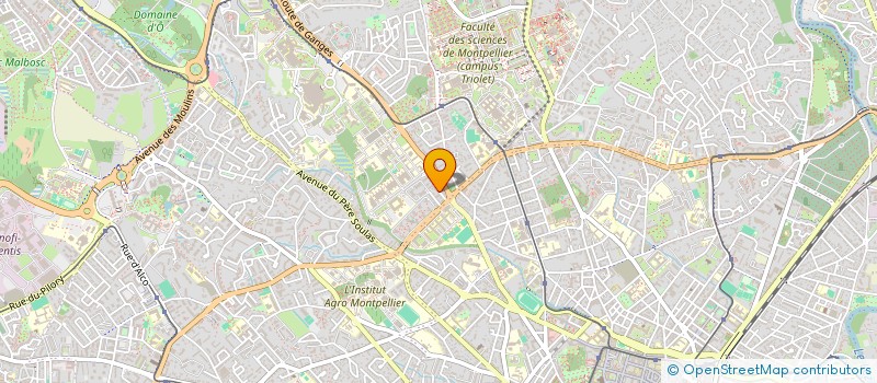 localisation de l'entreprise MONSIEUR WILSON ELISCA à MONTPELLIER
