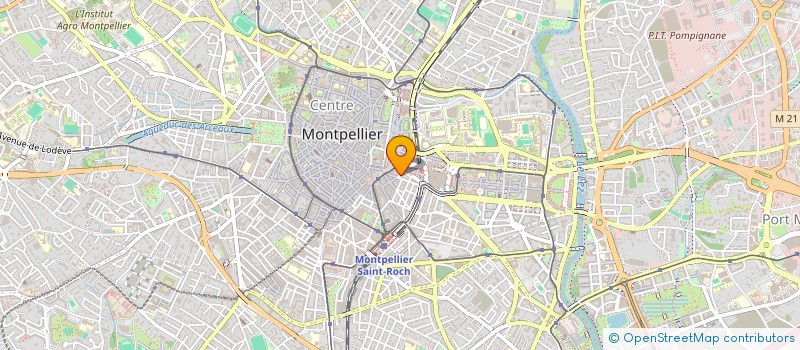 localisation de l'entreprise MONSIEUR WIM VAN LENT à MONTPELLIER