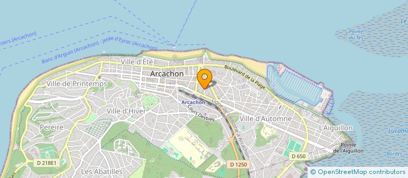 localisation de l'entreprise MONSIEUR WISSEM AZZEDDINE FARES  ARCACHON