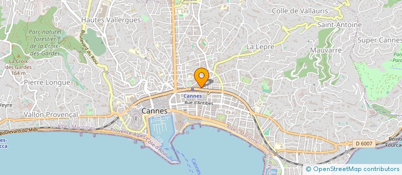 localisation de l'entreprise MONSIEUR WLADIMIR VICENTIJEVIC à CANNES