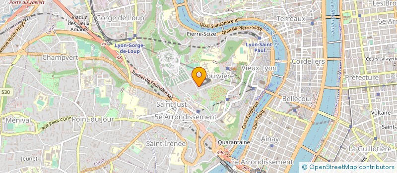 localisation de l'entreprise MONSIEUR WLADISLAS SZKORUPA à LYON