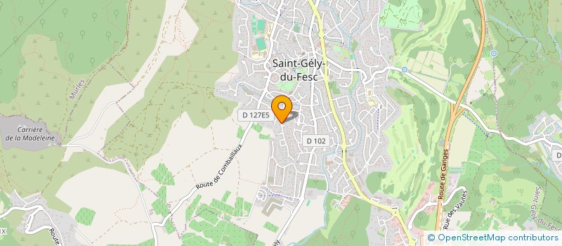localisation de l'entreprise MONSIEUR WOJCIECH KNAP à SAINT-GELY-DU-FESC