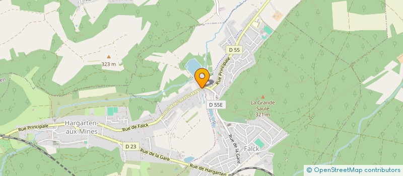 localisation de l'entreprise MONSIEUR WOLFGANG LANG  FALCK